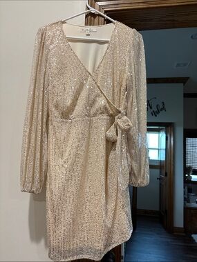 Vine & Love Champagne Sequin Wrap Mini Dress